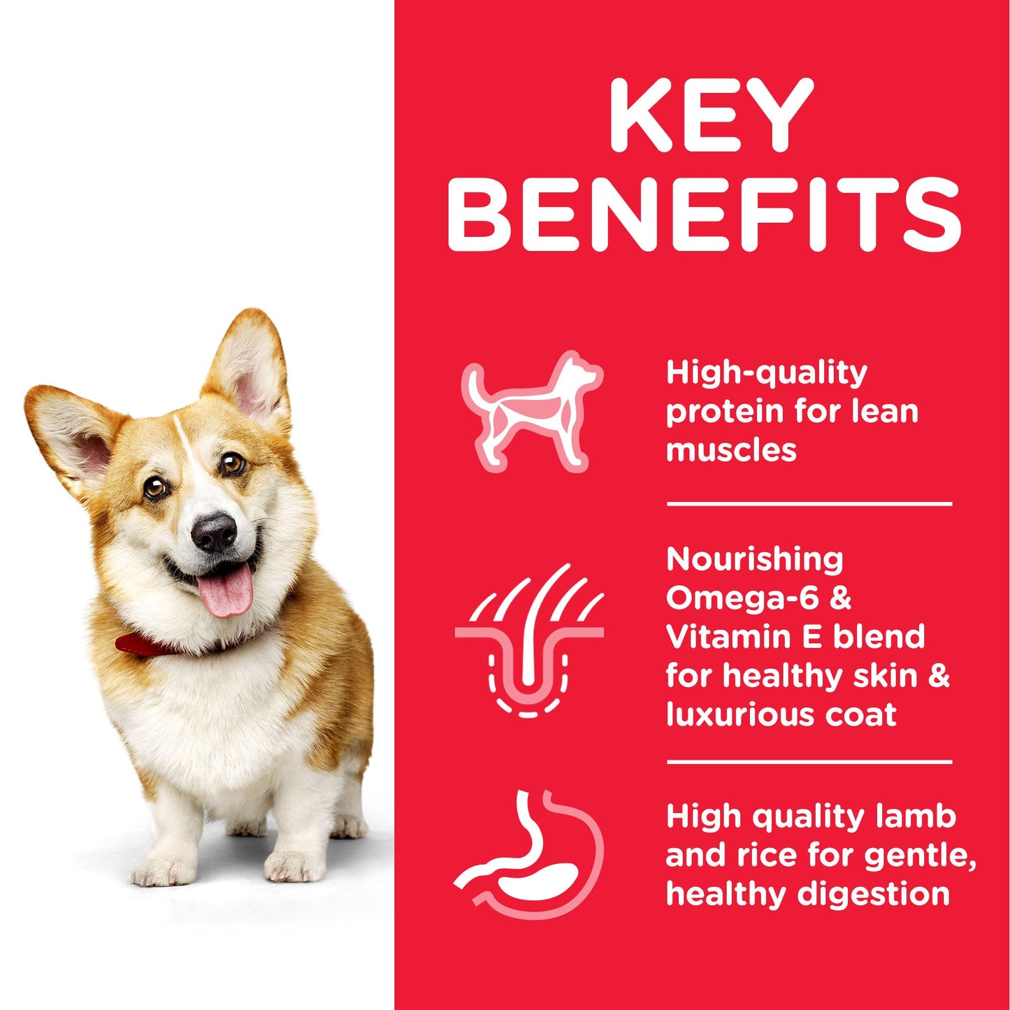 Hill's Science Plan Adult Small & Miniature Chicken &amp; Turkey Dry Dog Food - 1.5kg