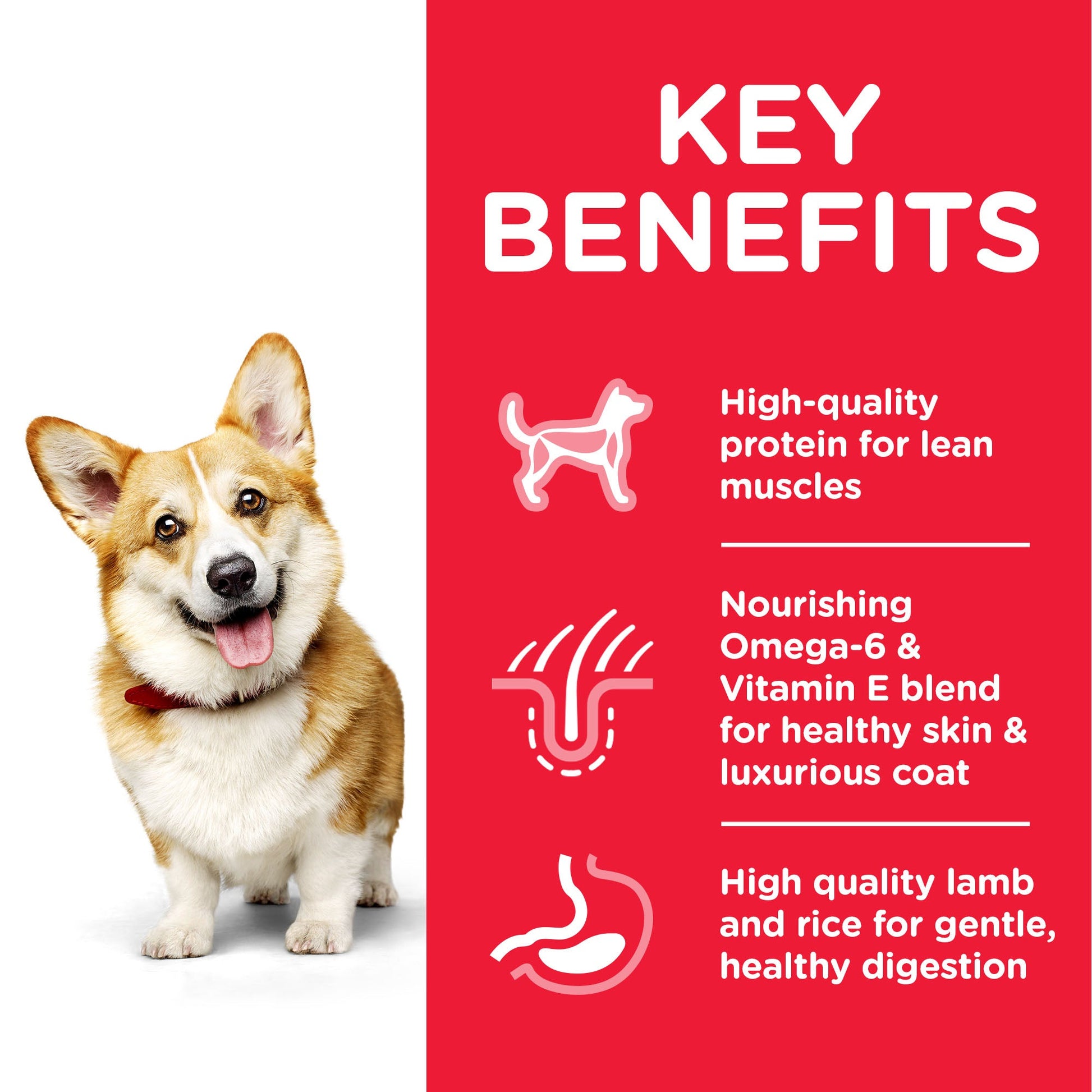 Hill's Science Plan Adult Small & Miniature Chicken &amp; Turkey Dry Dog Food - 1.5kg