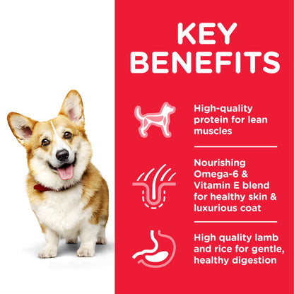 Hill's Science Plan Adult Small & Miniature Chicken &amp; Turkey Dry Dog Food - 1.5kg