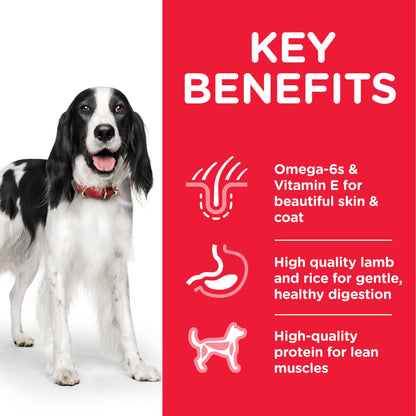Hill's Science Plan Adult Medium with Chicken Dry Dog Food