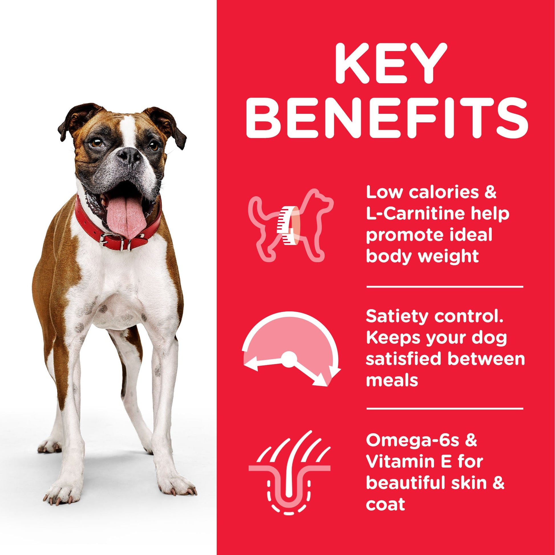 Hill's Science Plan Canine Adult Light Dry Dog Food - 2.5kg