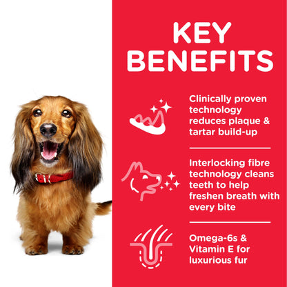 Hill's Science Plan Adult Oral Care with Chicken Dry Dog Food 2kg