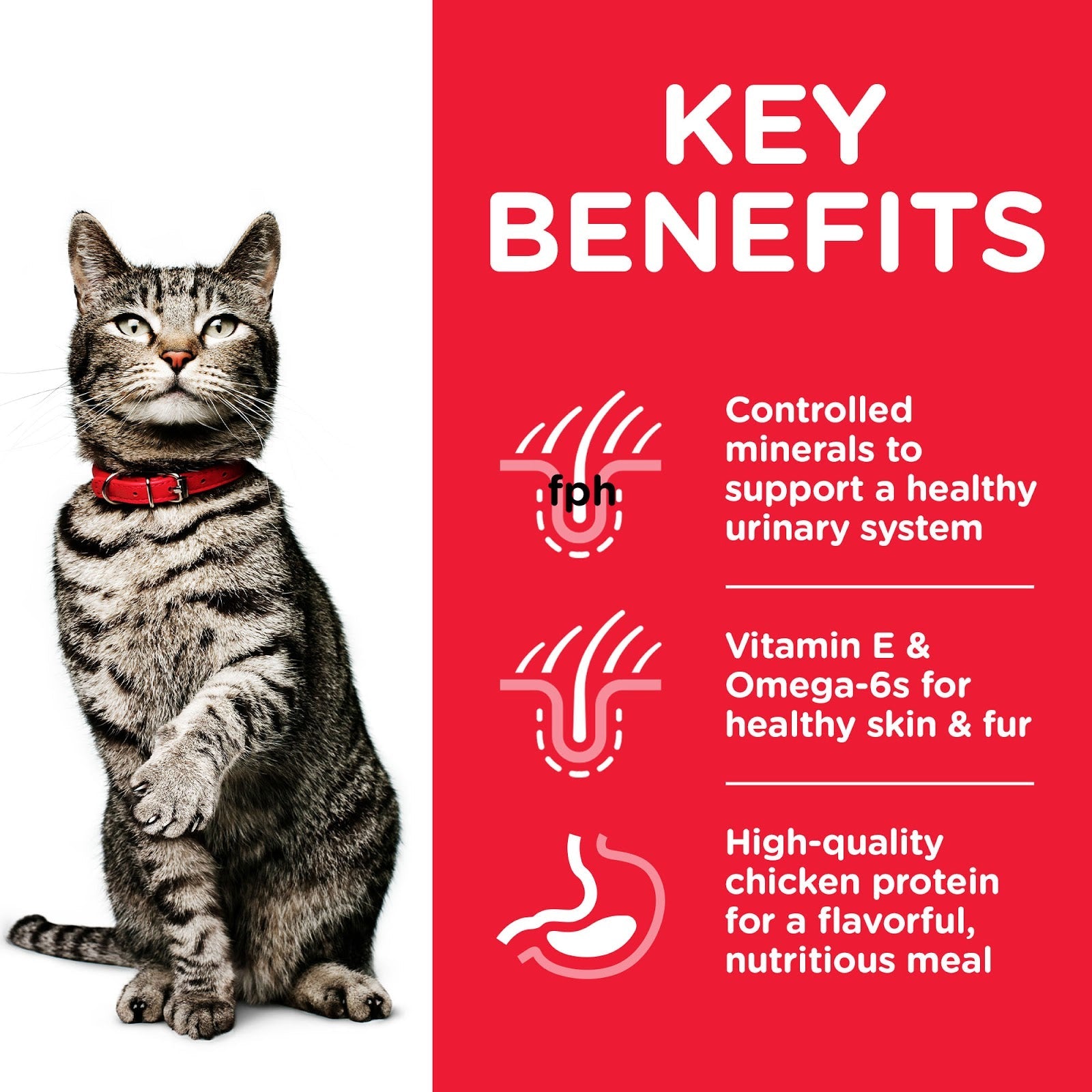 Hills Science Plan Cat Adult Dry Chicken Urinary 1.5kg