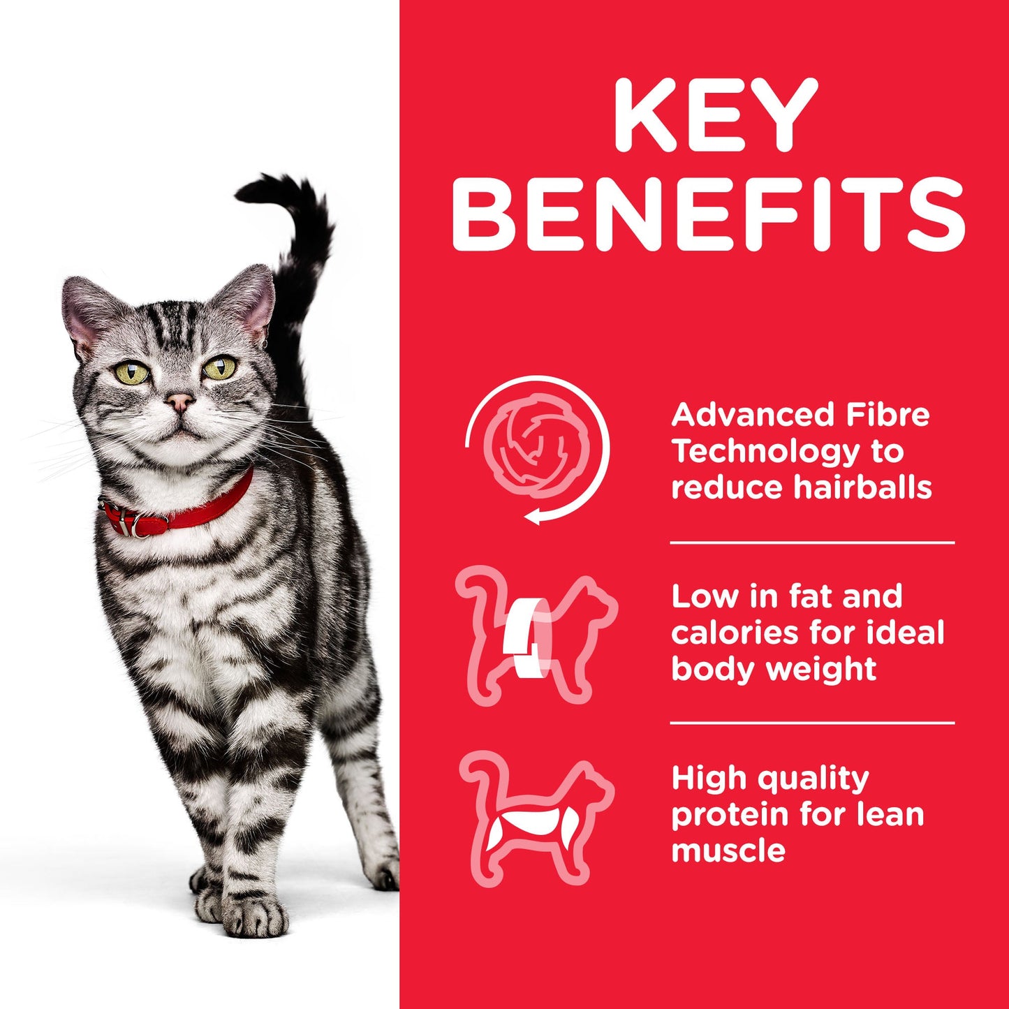 Hill's Science Plan Adult Indoor Chicken Cat Food - 3kg