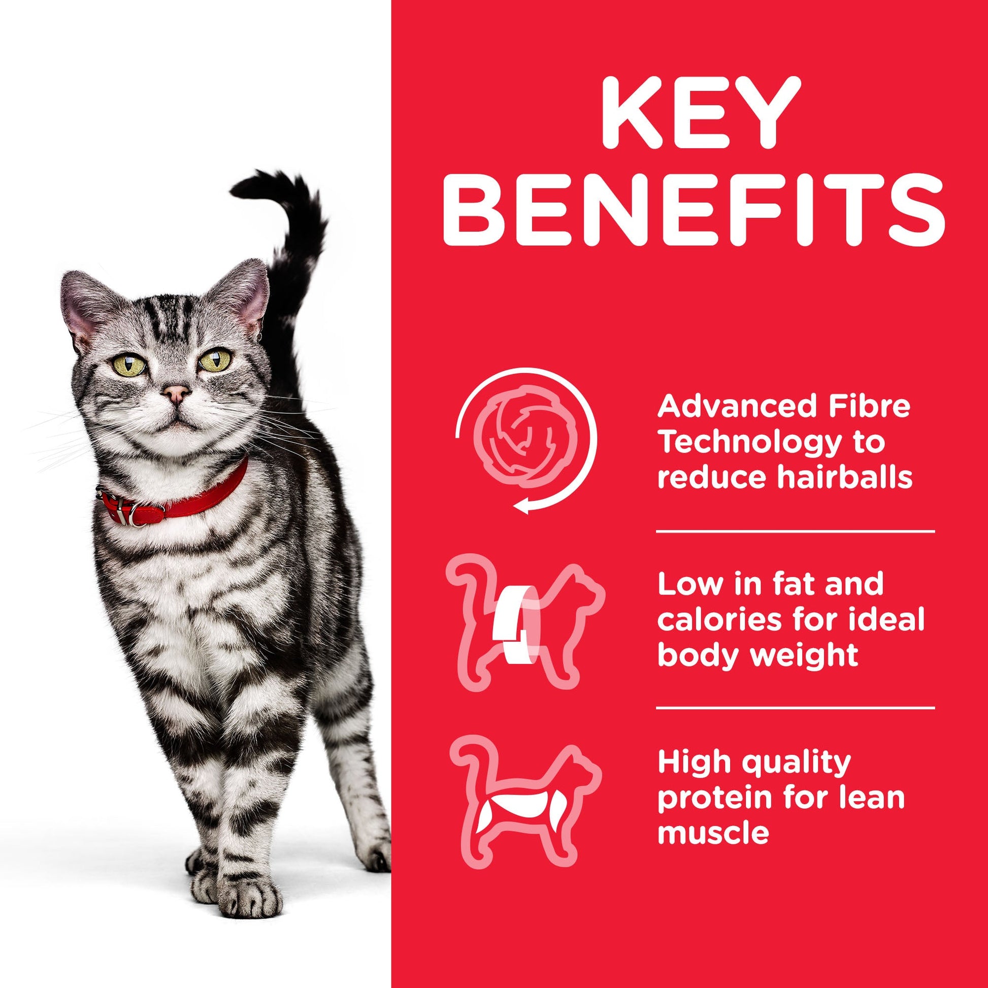 Hill's Science Plan Adult Indoor Chicken Cat Food - 3kg