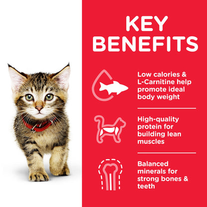 Hill's Science Plan Kitten Multipack with Chicken & Ocean Fish Wet Cat Food 12 x 85g