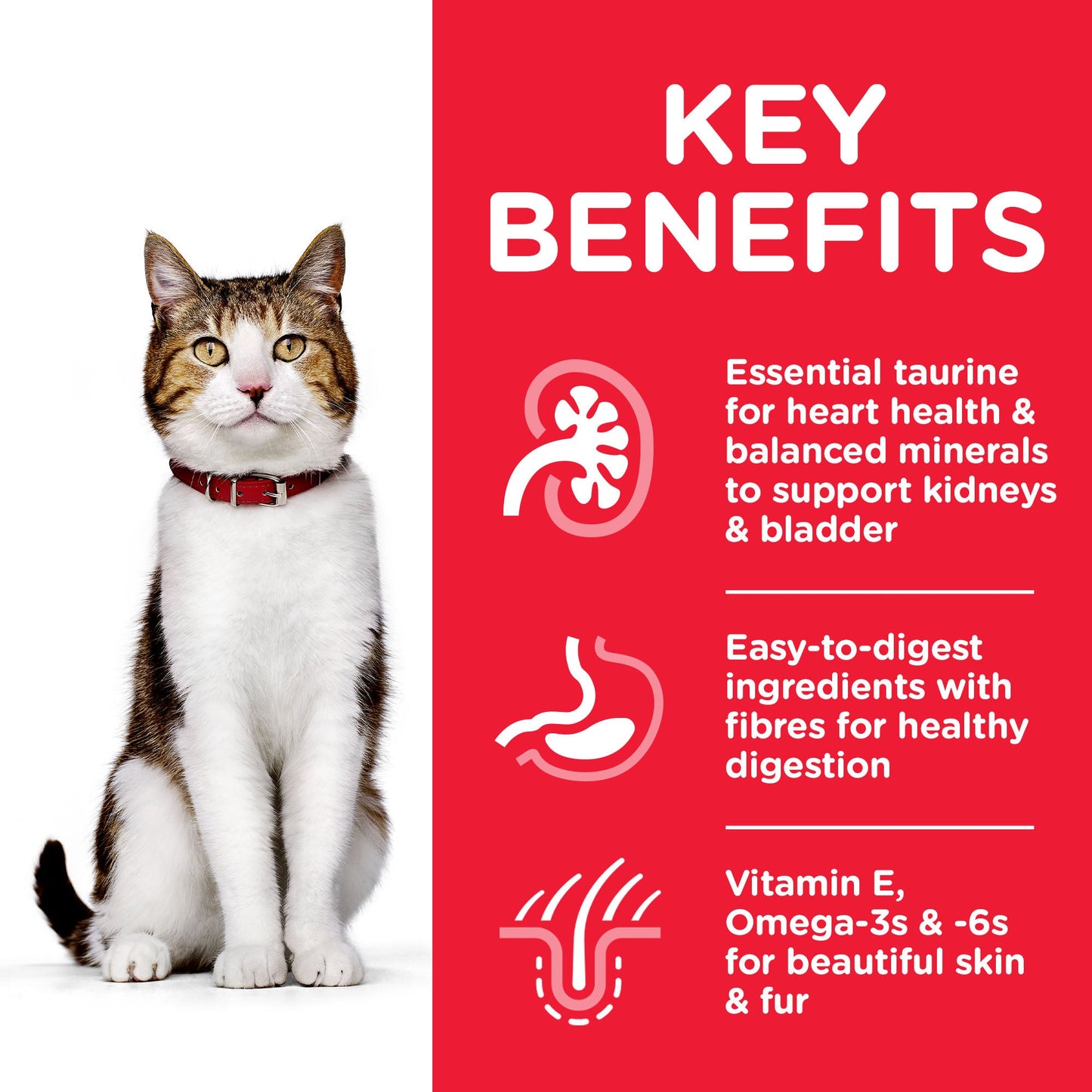 [Clearance Sale] Hill's Science Plan Mature Adult 7+ with Tuna Dry Cat Food 1.5kg