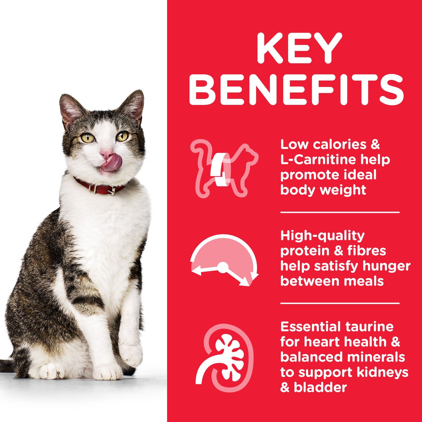 [Clearance Sale] Hill's Science Plan Mature Adult 7+ Chicken Dry Cat Food 7kg