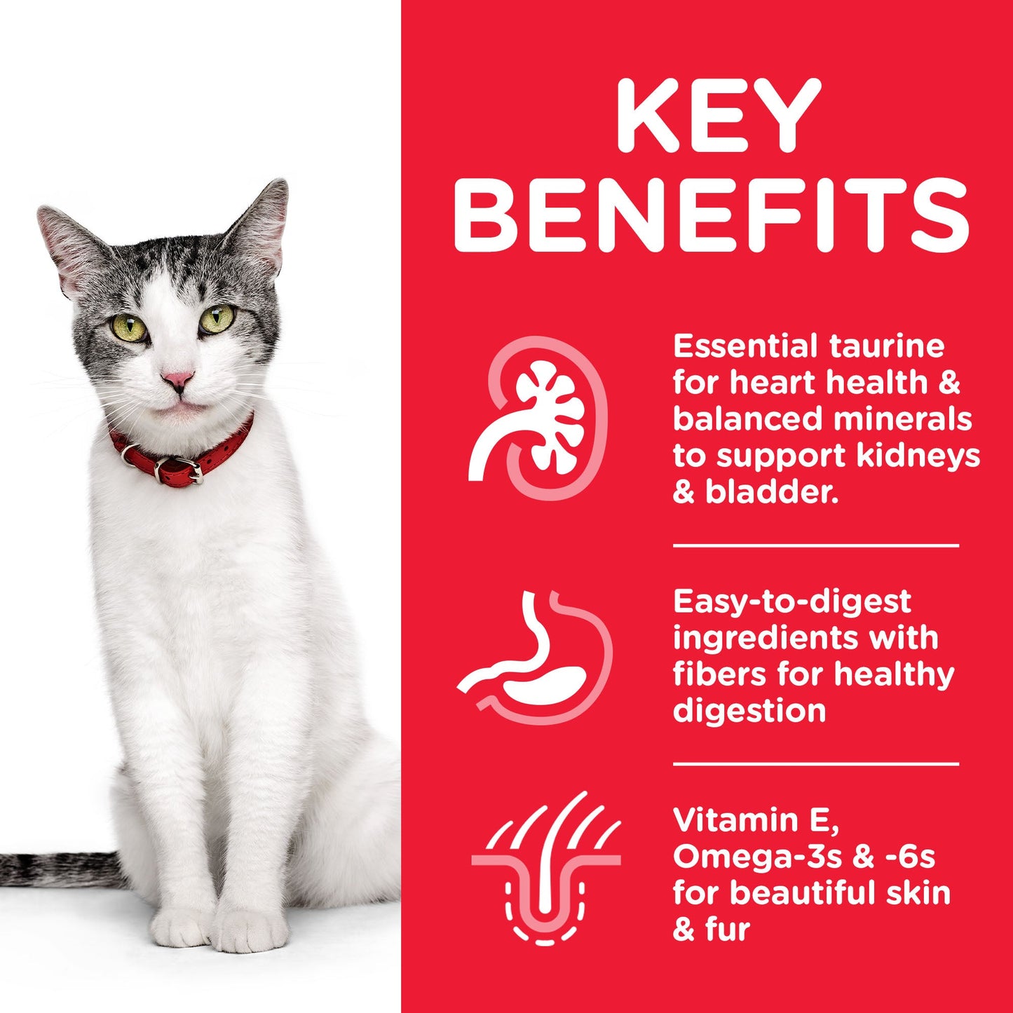 Hill's Science Plan Senior 11+ with Chicken Dry Cat Food