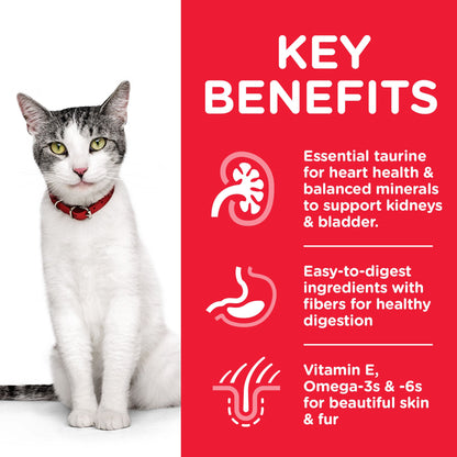 Hill's Science Plan Senior 11+ with Chicken Dry Cat Food