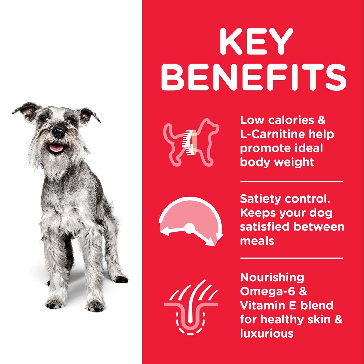 Hill's Science Plan Mature Adult 7+ Light Small & Mini with Chicken Dry Dog Food 2.5kg