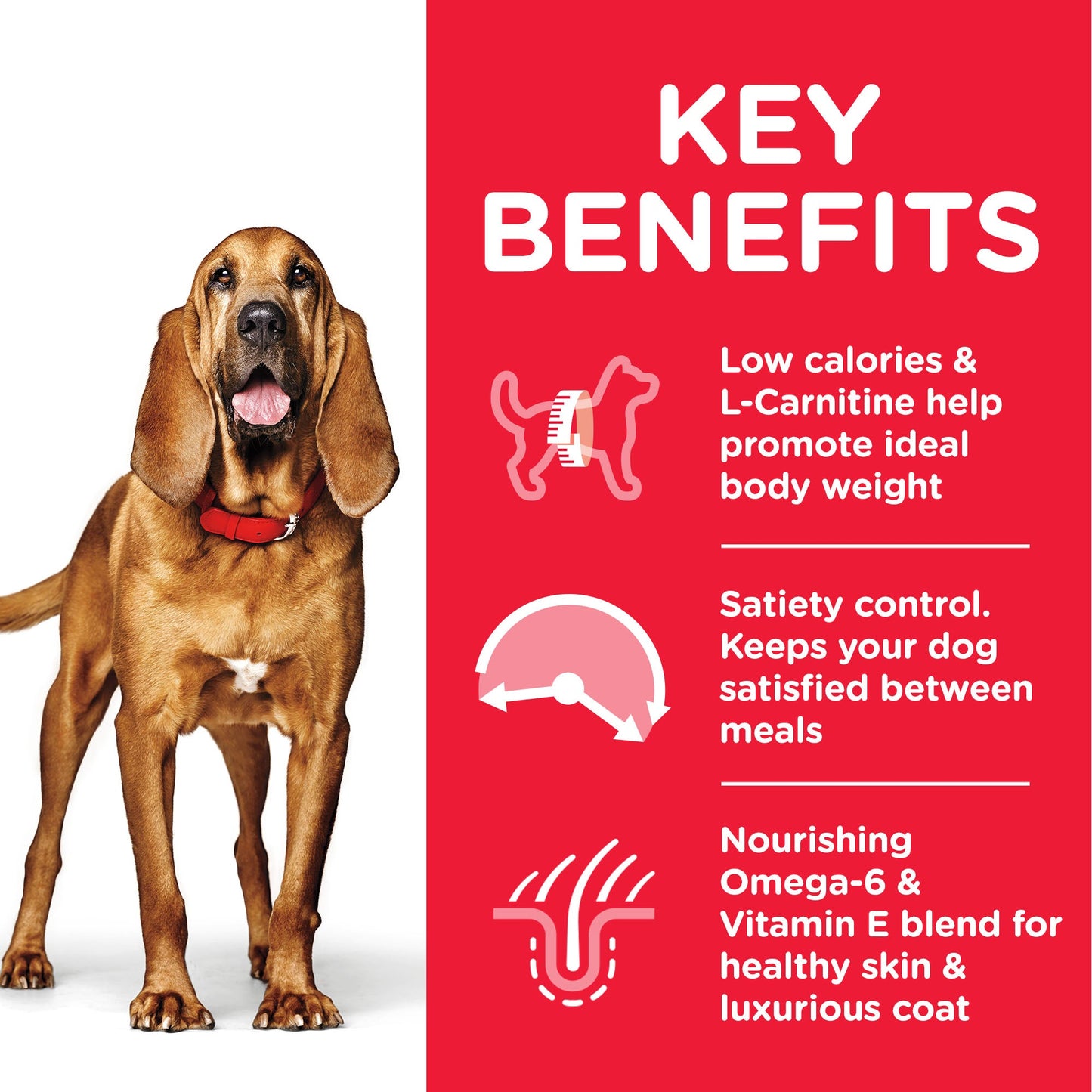 [Clearance Sale] Hill's Science Plan Mature Adult 7+ Light Medium with Chicken Dry Dog Food 14kg