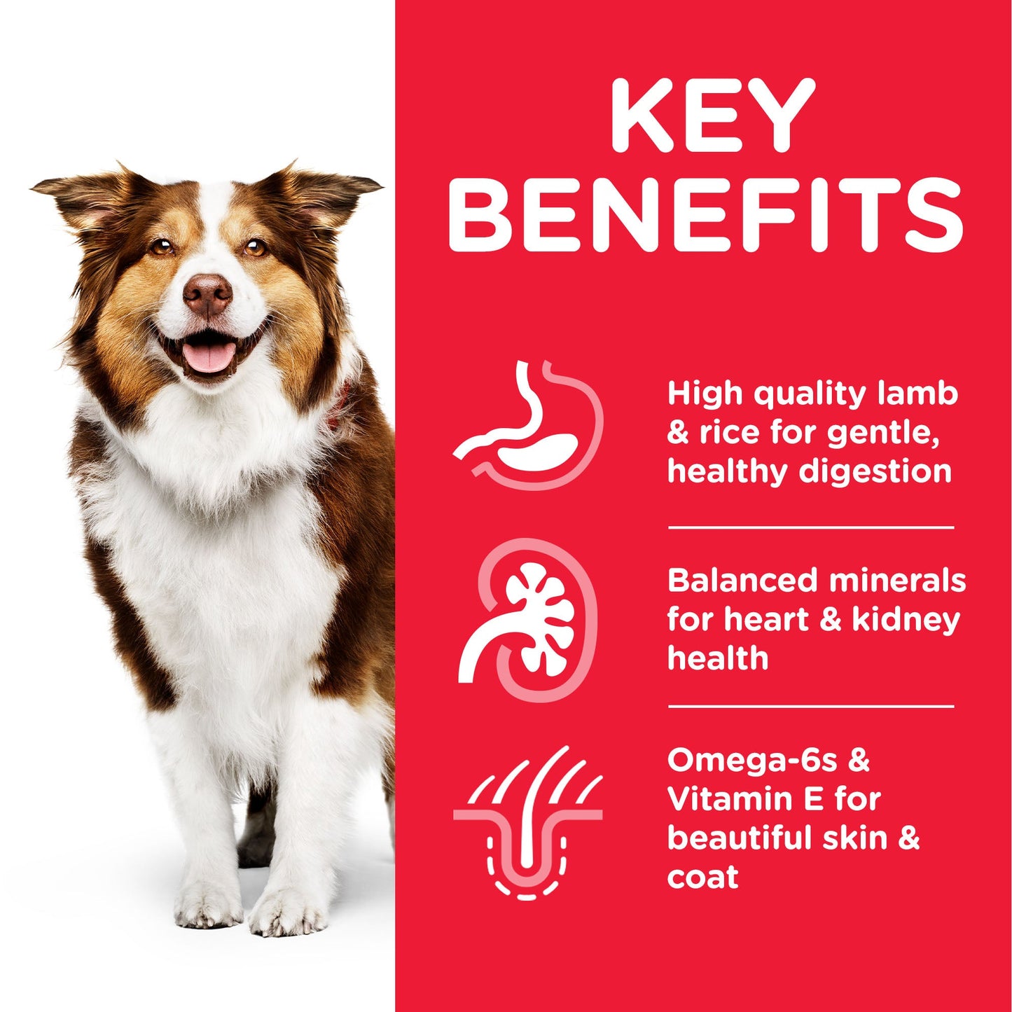 Hill's Science Plan Mature Adult Medium Lamb & Rice Dry Dog Food - 14kg