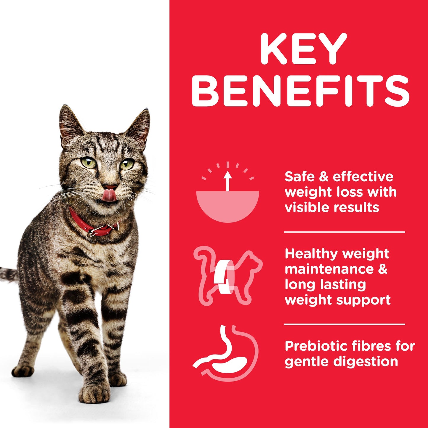 Hill's Science Plan Adult Perfect Weight with Chicken Dry Cat Food