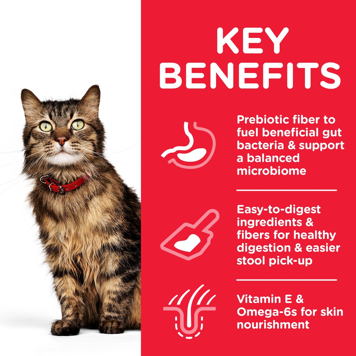 Hill's Science Plan Adult Sensitive Stomach & Skin Dry Cat Food 7kg