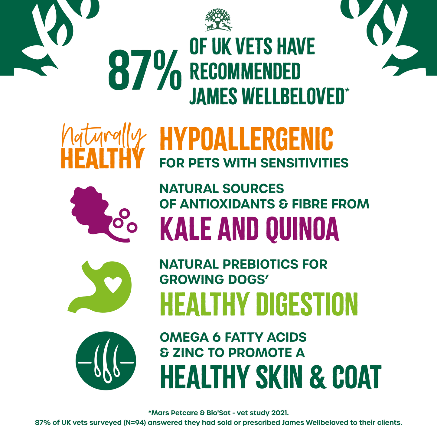 James Wellbeloved Adult Turkey With Kale & Quinoa Dry Dog Superfoods 10kg