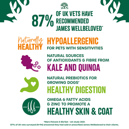 James Wellbeloved Adult Turkey With Kale & Quinoa Dry Dog Superfoods 10kg