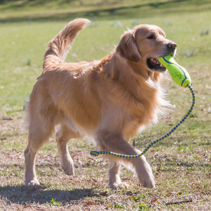 KONG Air Fetch Stick With Rope
