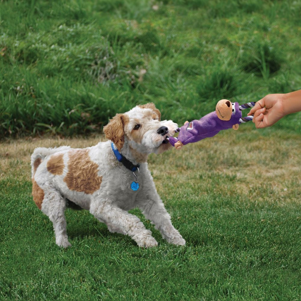 KONG Knots Dog Monkey
