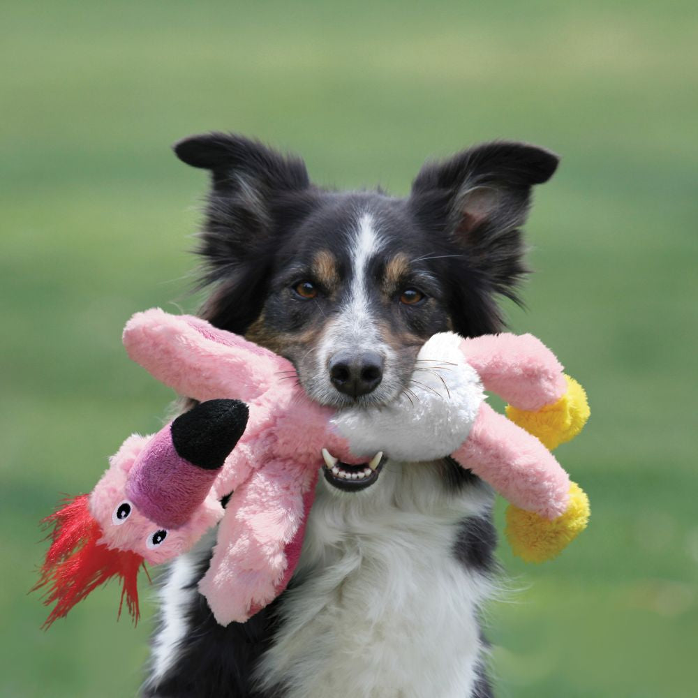KONG Wild Knots Bird Dog Toy Small/Med