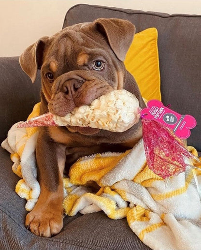 Barking Bakery Doggy Cheesey Popcorn Bag