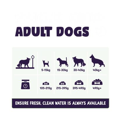 Burgess Sensitive Adult Lamb Dry Dog Food