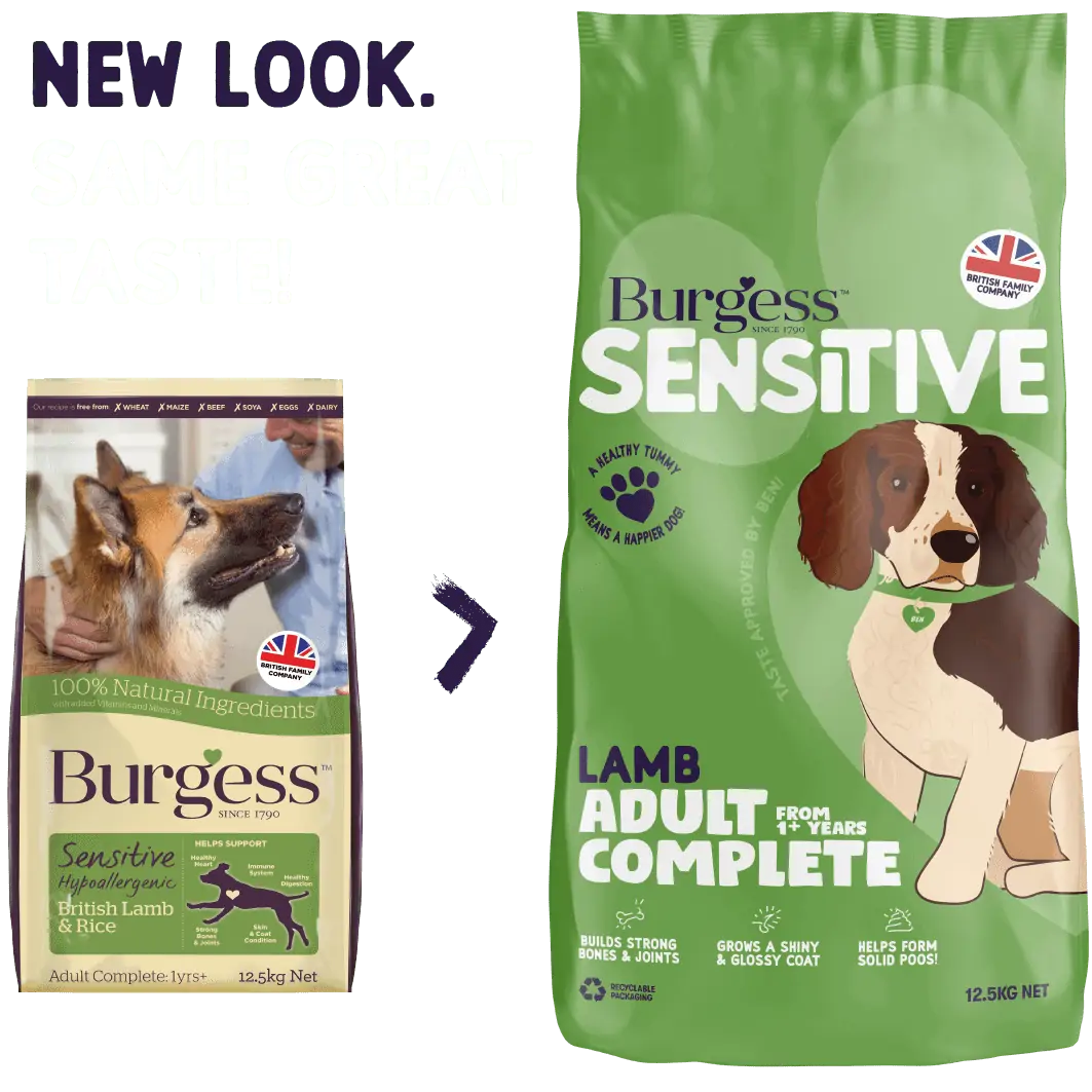 Burgess Sensitive Adult Lamb Dry Dog Food