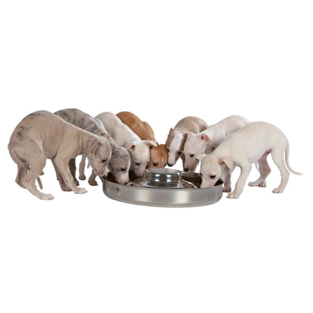 Trixie Junior Puppy Bowl 4.0L / 38cm