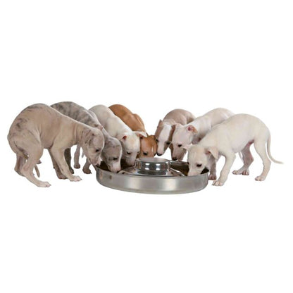 Trixie Junior Puppy Bowl 4.0L / 38cm