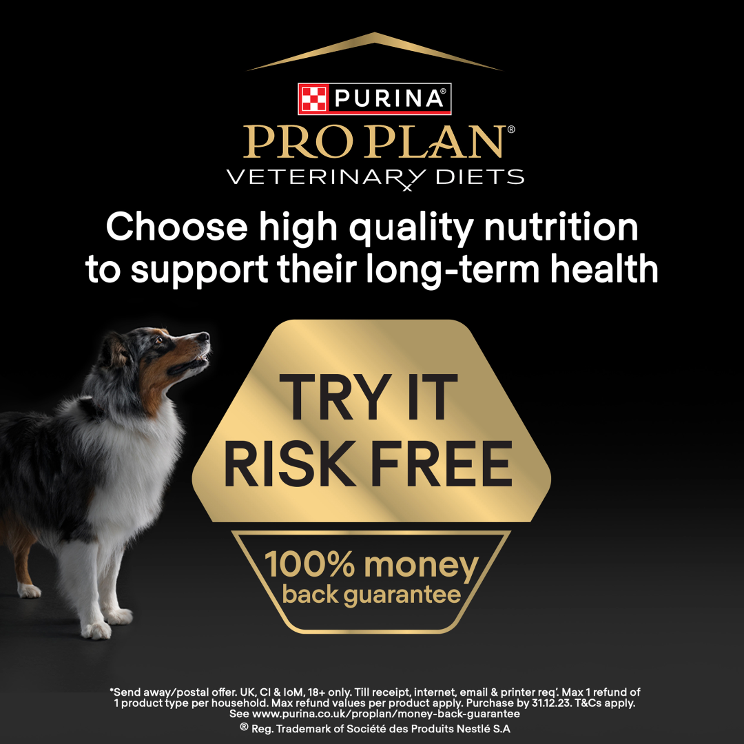 Pro Plan Veterinary Diets DM Diabetes Management Dry Dog Food 12kg