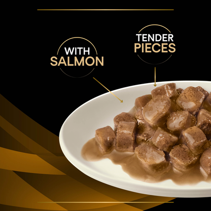 Pro Plan Veterinary NF Renal Function Advanced Care with Salmon Wet Cat Food 10 x 85g
