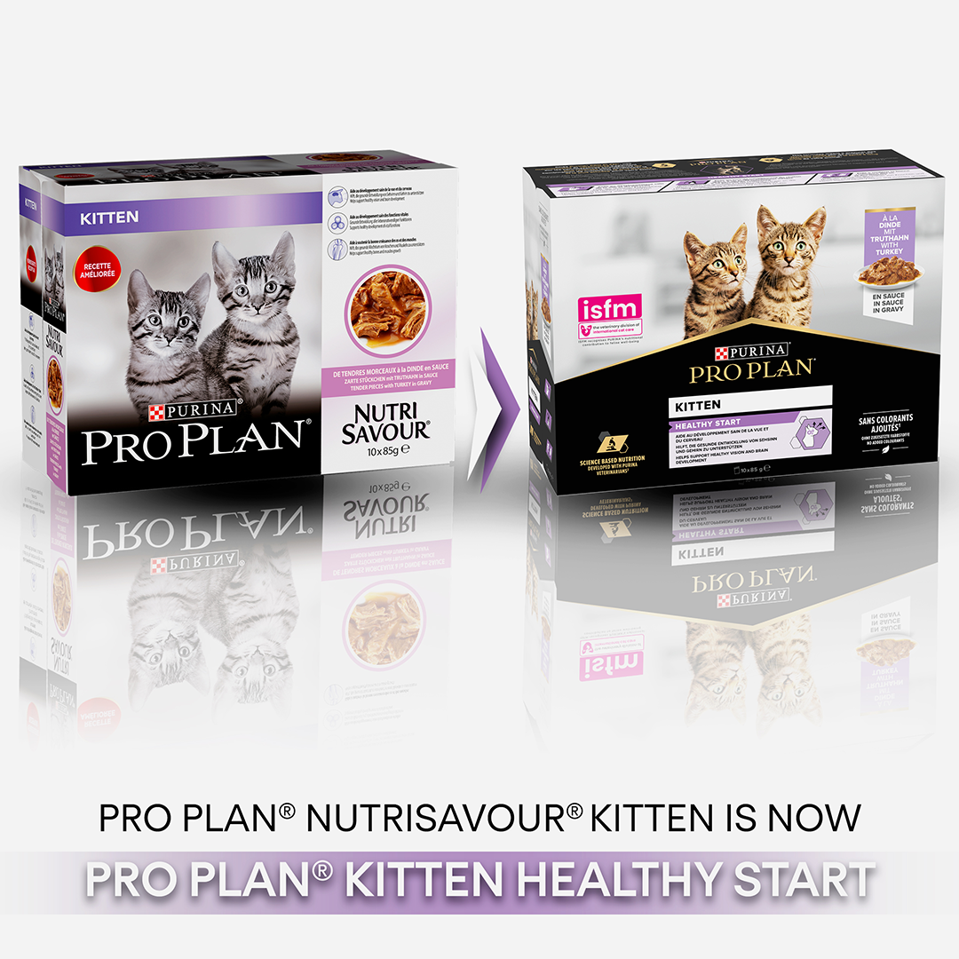 Pro Plan Kitten Healthy Start Turkey in Gravy Wet Cat Food 10 x 85g