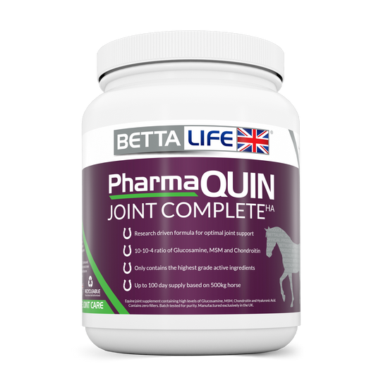 BETTALife PharmaQuin Joint Complete HA Equine 1kg