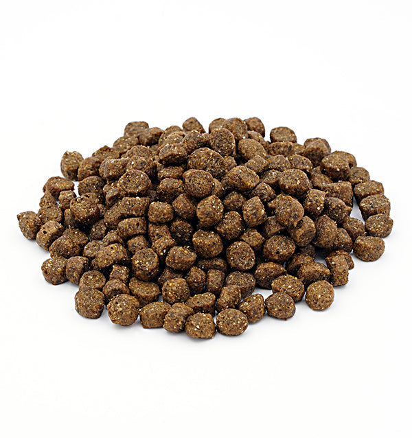Alpha Sporting Puppy Dry Dog Food