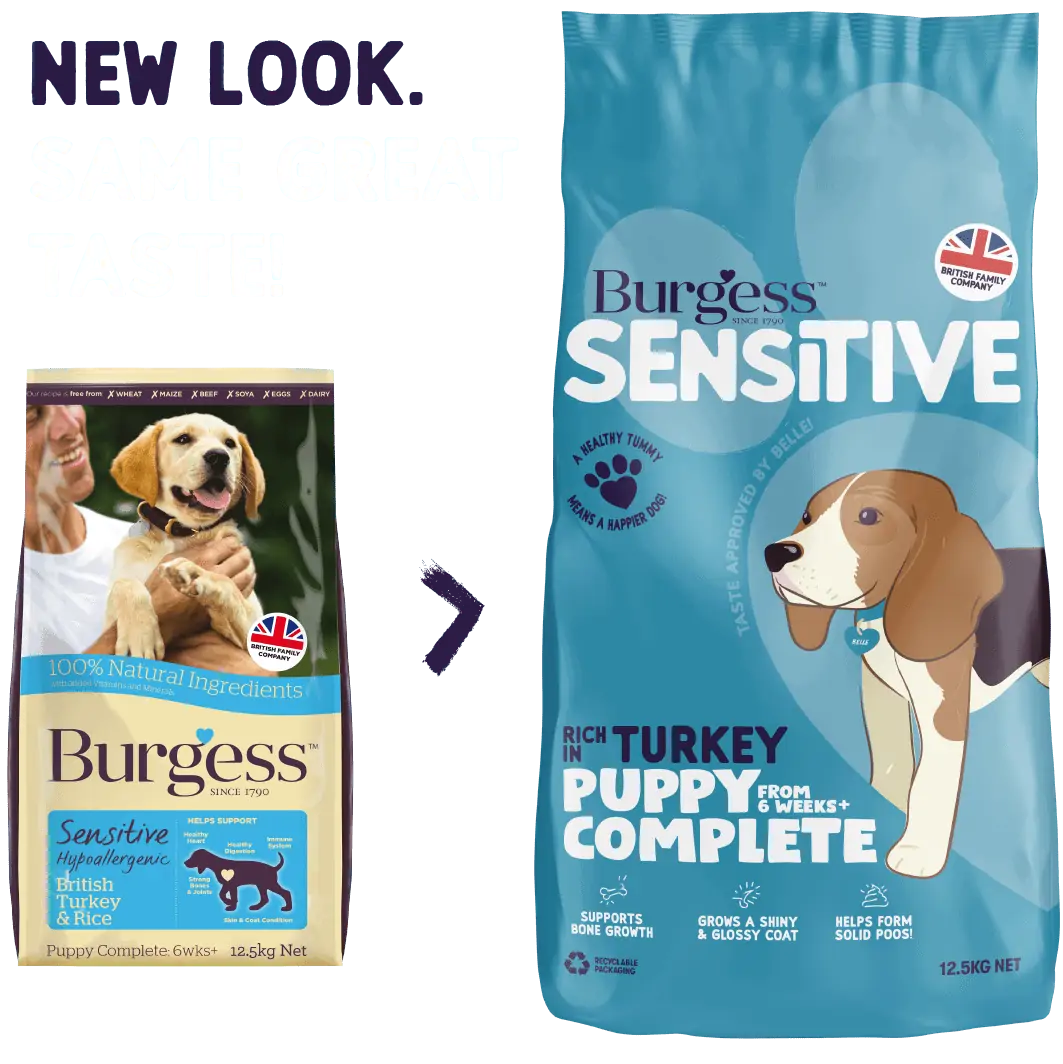 Burgess Sensitive Rich in Turkey Dry Puppy Food 2kg