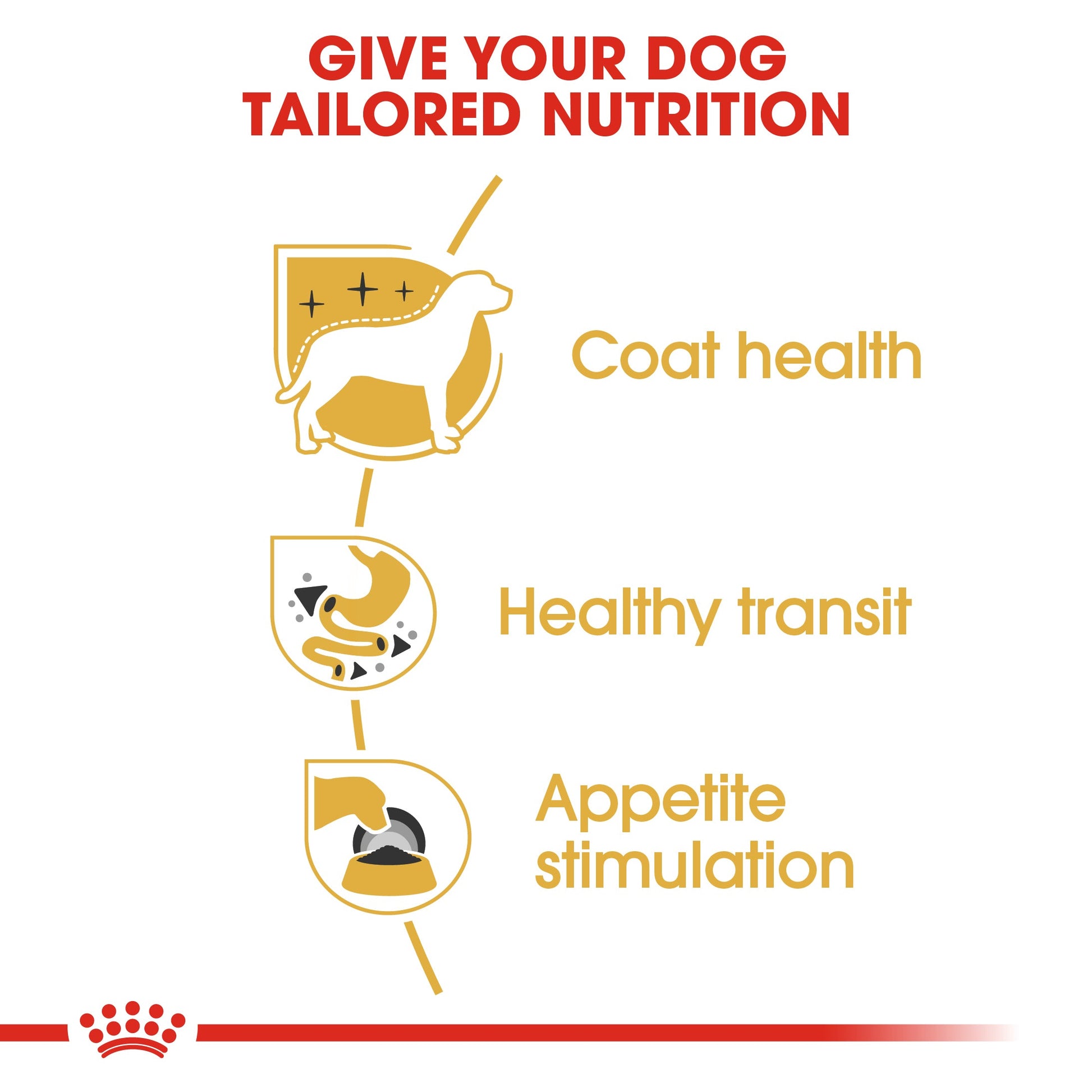 ROYAL CANIN® Chihuahua Adult Wet Dog Food - 12x85g
