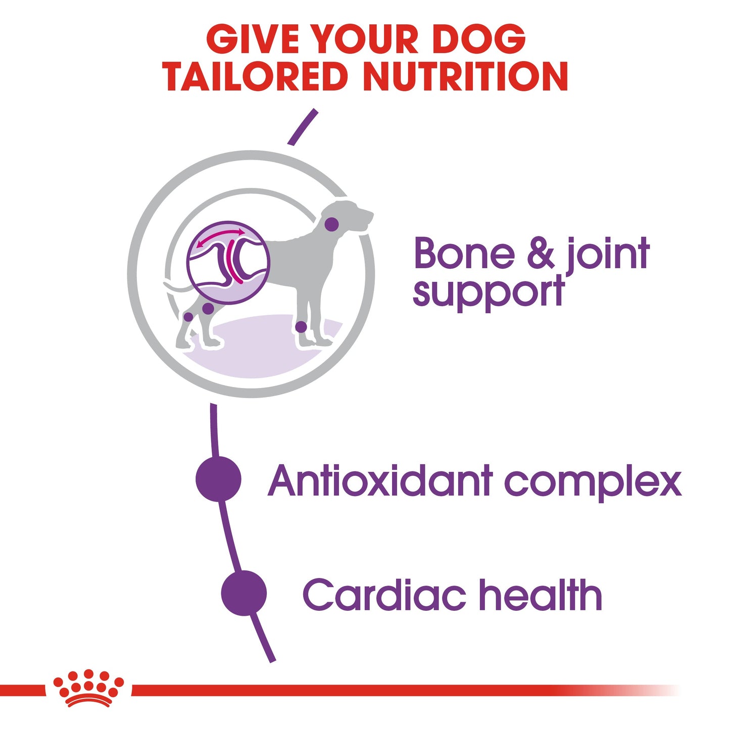 Royal Canin Adult Giant Dry Dog Food 15kg