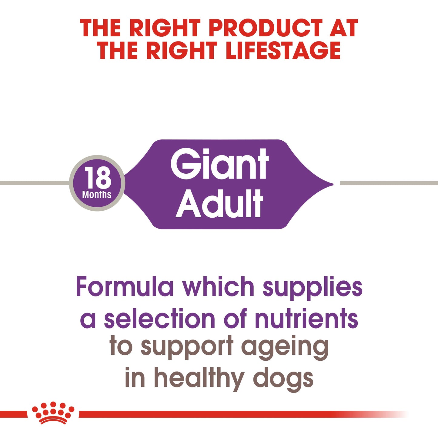 Royal Canin Adult Giant Dry Dog Food 15kg