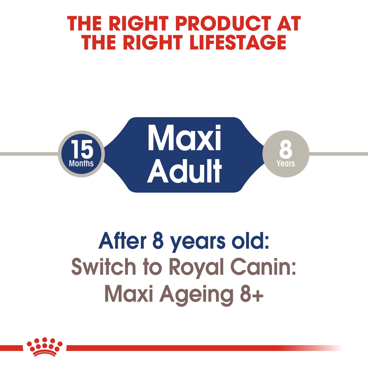 ROYAL CANIN® Maxi Adult in Gravy Wet Dog Food -10x140g