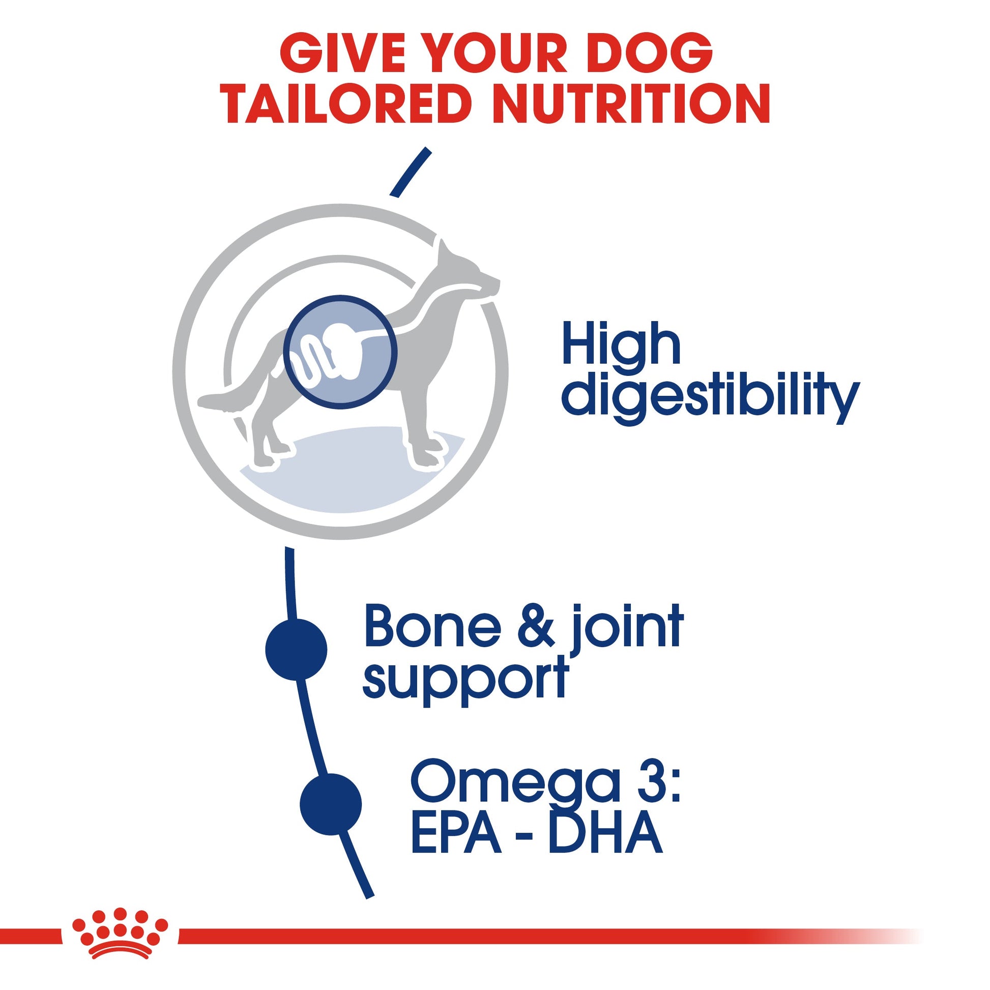 ROYAL CANIN® Maxi Adult Dry Dog Food - 4kg