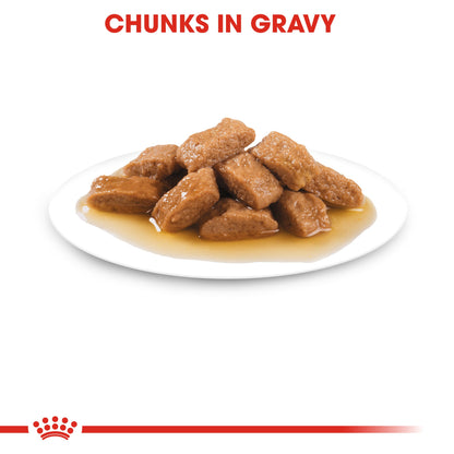 ROYAL CANIN® Medium Adult in Gravy Wet Dog Food - 10x140g