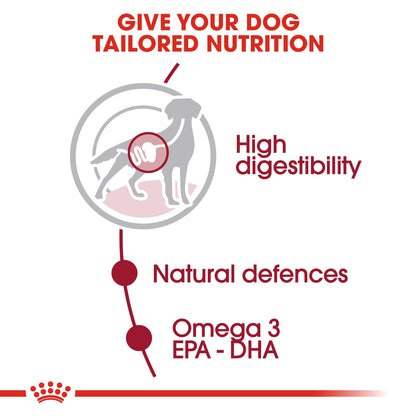 ROYAL CANIN® Medium Adult in Gravy Wet Dog Food - 10x140g