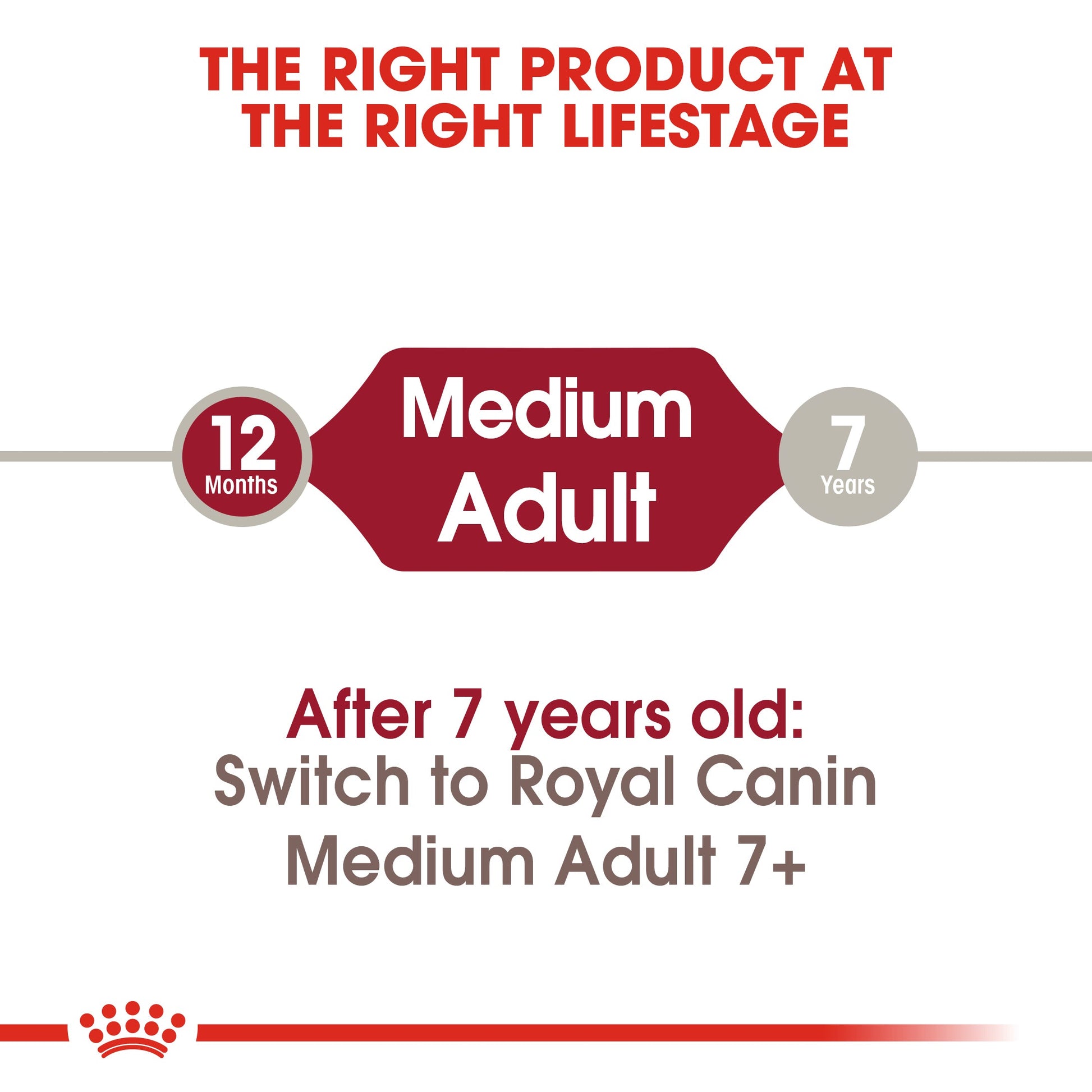 ROYAL CANIN® Medium Adult Dry Dog Food - 4kg