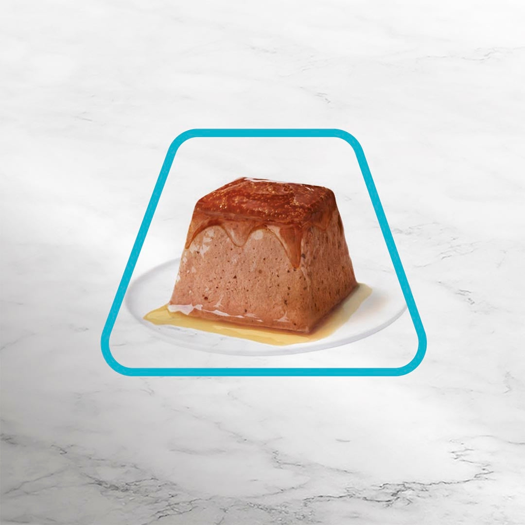 [Clearance Sale] Gourmet Adult Revelations Mousse with Tuna Wet Cat Food 4 x 57g