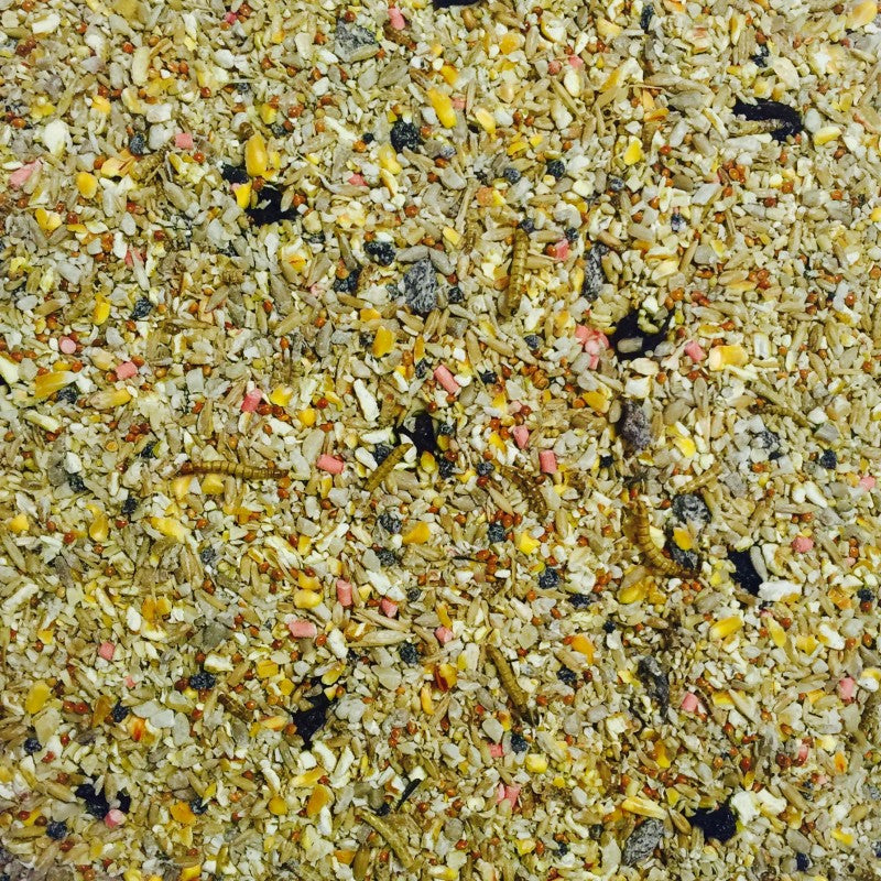 Bucktons Robin & Songbird Food 12.55kg