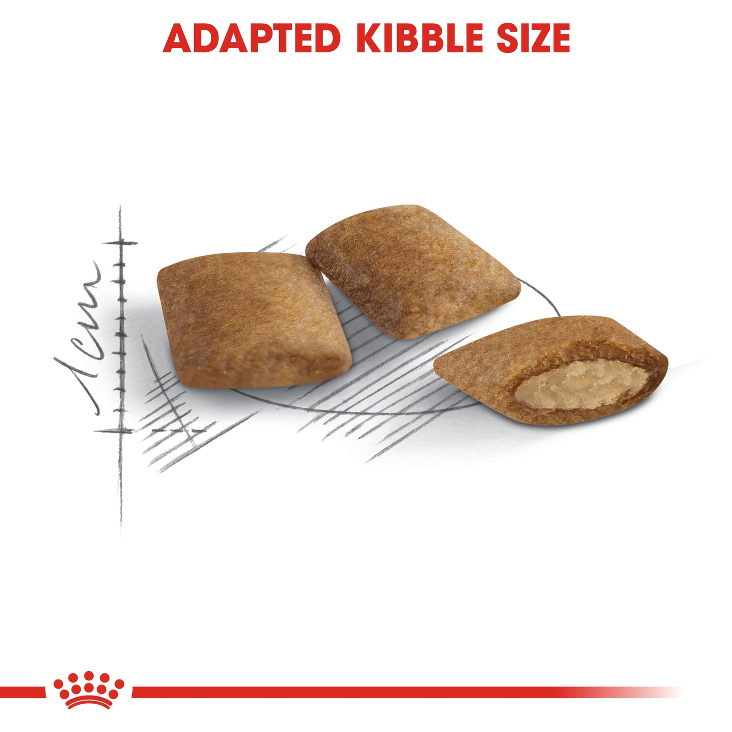 Royal Canin Senior Ageing 12+ Dry Cat Food