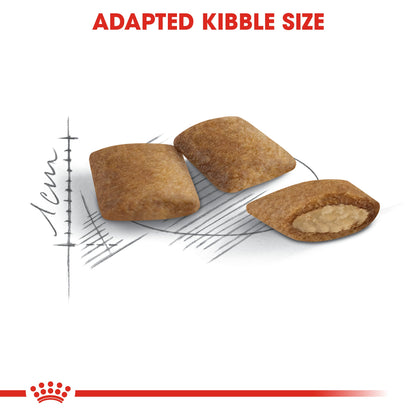 Royal Canin Senior Ageing 12+ Dry Cat Food