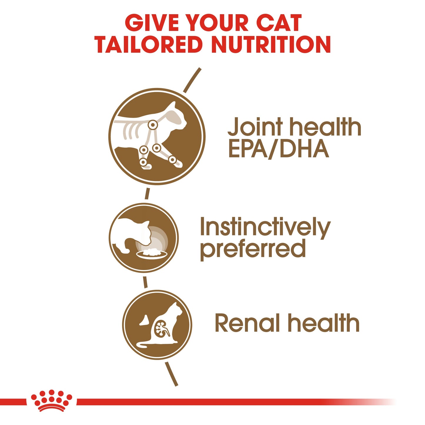 Royal Canin Feline Senior Ageing 12+ in Gravy Wet Cat Food