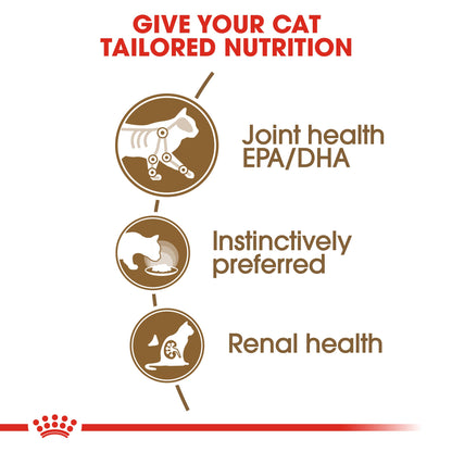 Royal Canin Feline Senior Ageing 12+ in Gravy Wet Cat Food
