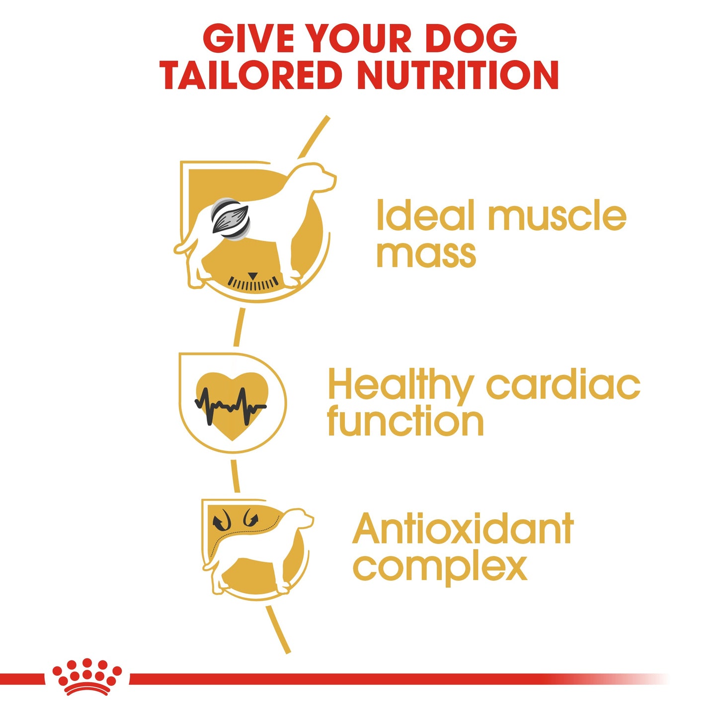 Royal Canin Adult Boxer Dry Dog Food 12kg